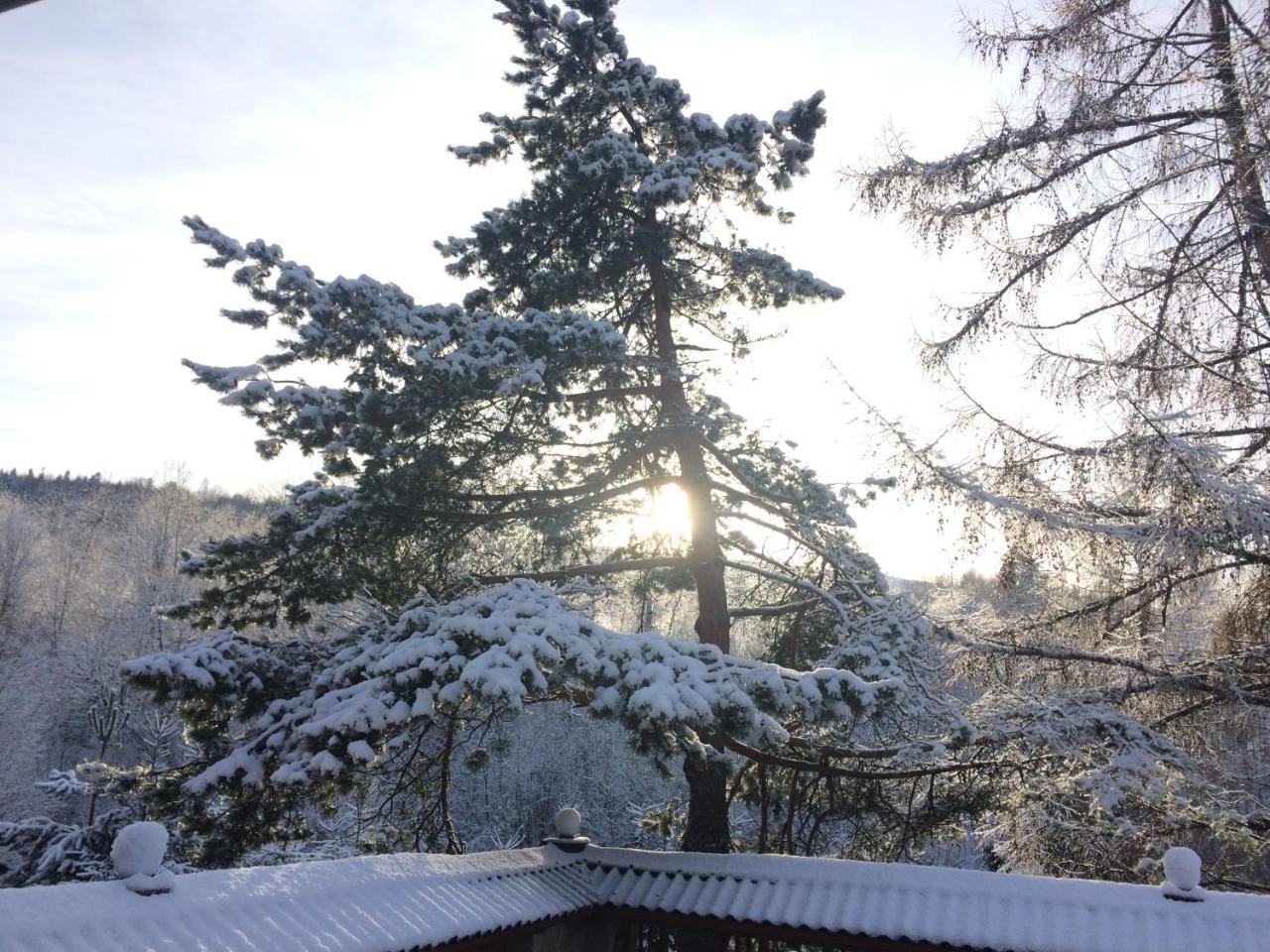 Eco Sadiba Kaskad Hotel Velyka Volosyanka ภายนอก รูปภาพ