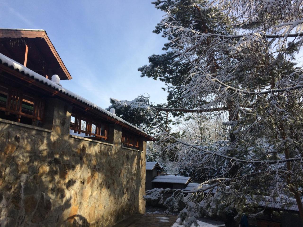 Eco Sadiba Kaskad Hotel Velyka Volosyanka ภายนอก รูปภาพ