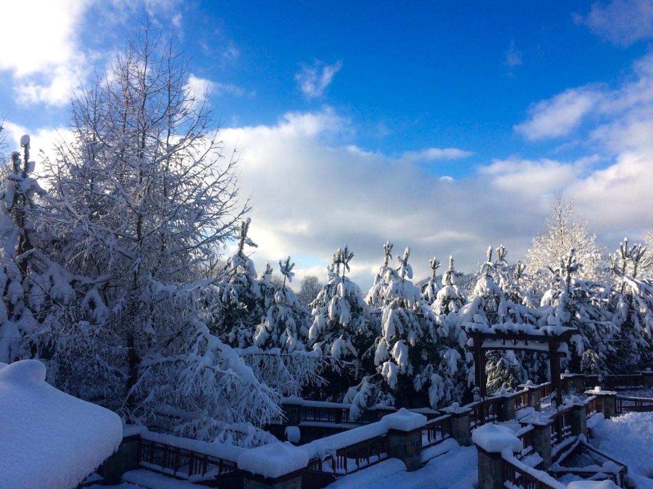 Eco Sadiba Kaskad Hotel Velyka Volosyanka ภายนอก รูปภาพ