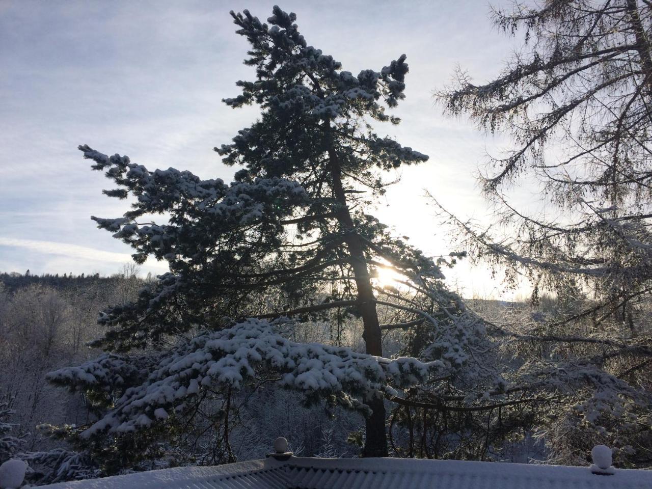 Eco Sadiba Kaskad Hotel Velyka Volosyanka ภายนอก รูปภาพ